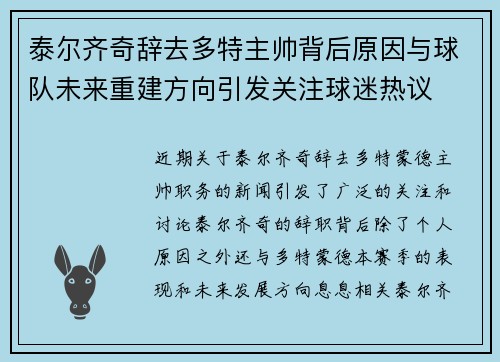 泰尔齐奇辞去多特主帅背后原因与球队未来重建方向引发关注球迷热议 泰尔齐奇辞去多特主帅背后原因与球队未来重建方向引发关注球迷热议